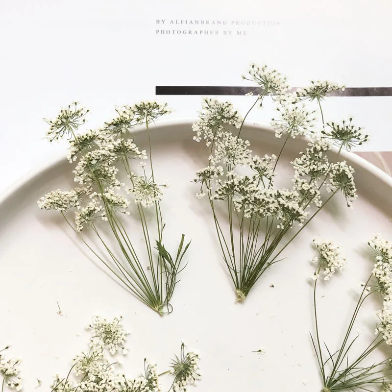 Craft Embellishments - 5-7cm/12個、枝付き雪の小さな花、ドライフラワーエンボスDIY携帯電話シェル、ネイルビューティーフォトフレーム、秋の装飾