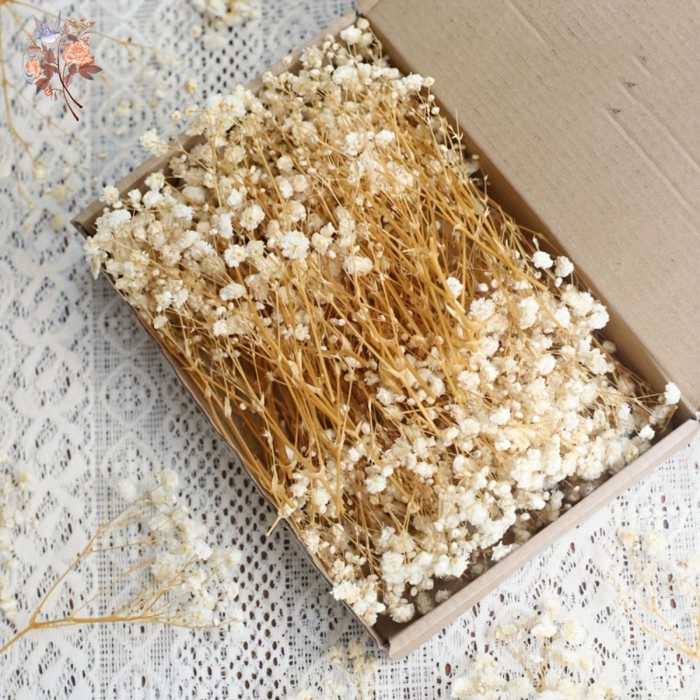 Craft Embellishments - 100個入りミニドライカスミソウ、レジン工芸DIY、家の装飾、結婚式の飾り、リアルタッチのジプソフィラ、小さな束、ギフト用装飾品