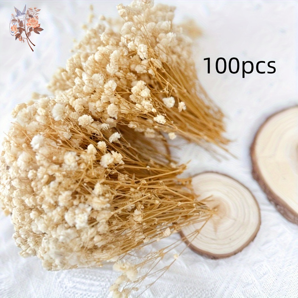 100個入りミニドライカスミソウ、レジン工芸DIY、家の装飾 - Craft Embellishments のレビューと価格