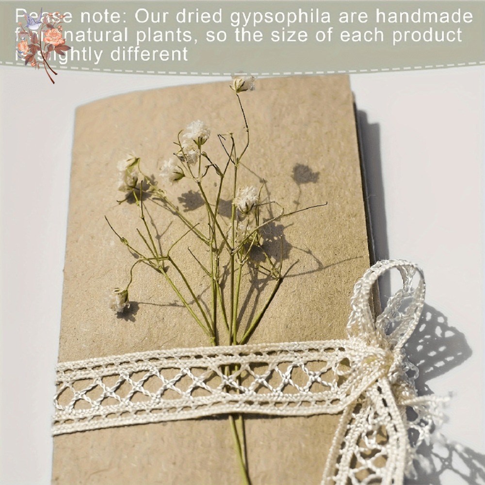 100個入りミニドライカスミソウ、レジン工芸DIY、家の装飾 - Craft Embellishments のレビューと価格